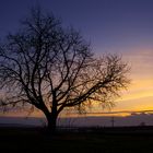 Sonnenuntergang in Kottingneusiedl bei Laa an der Thaya 2