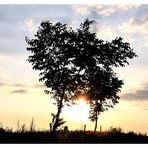 Sonnenuntergang in Kreuznach