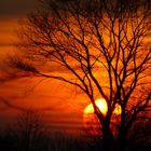 Sonnenuntergang in Krumbach (Schwaben)