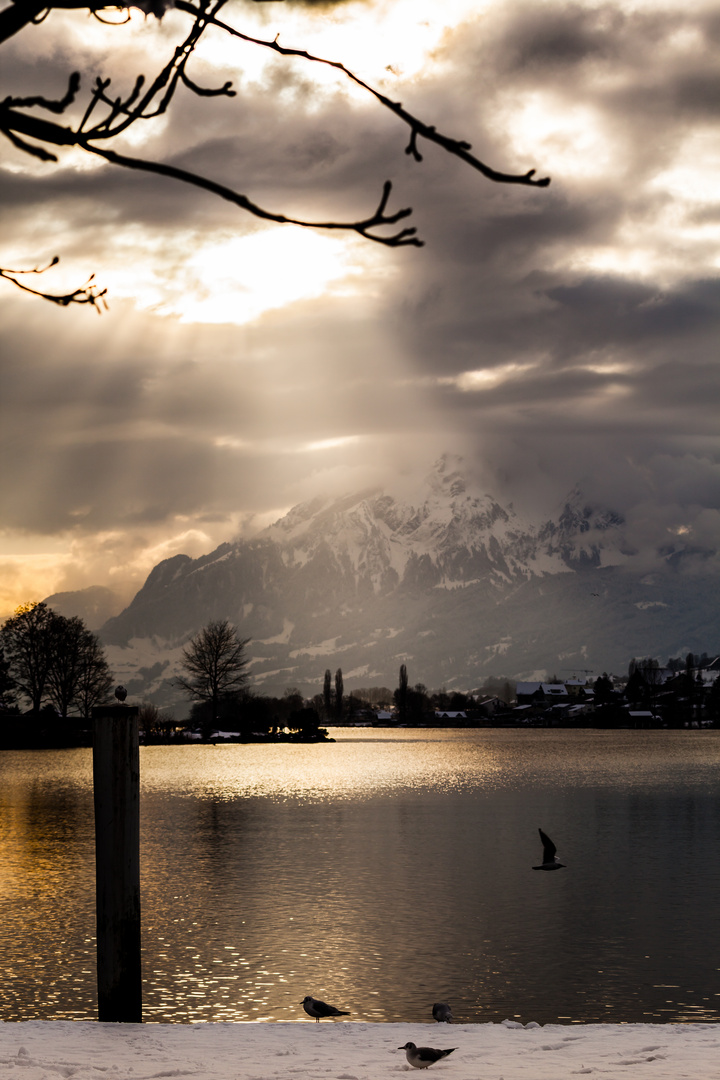 Sonnenuntergang in Küssnacht a. Rigi im Winter