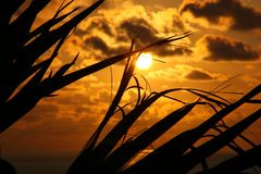 Sonnenuntergang in La Réunion