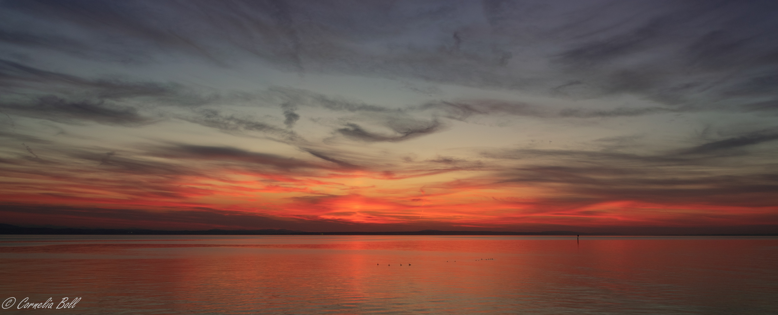 Sonnenuntergang in Langenargen am Bodensee