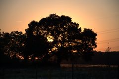 Sonnenuntergang in Langenfeld