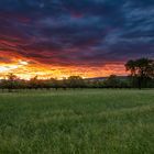 Sonnenuntergang in Lauchringen