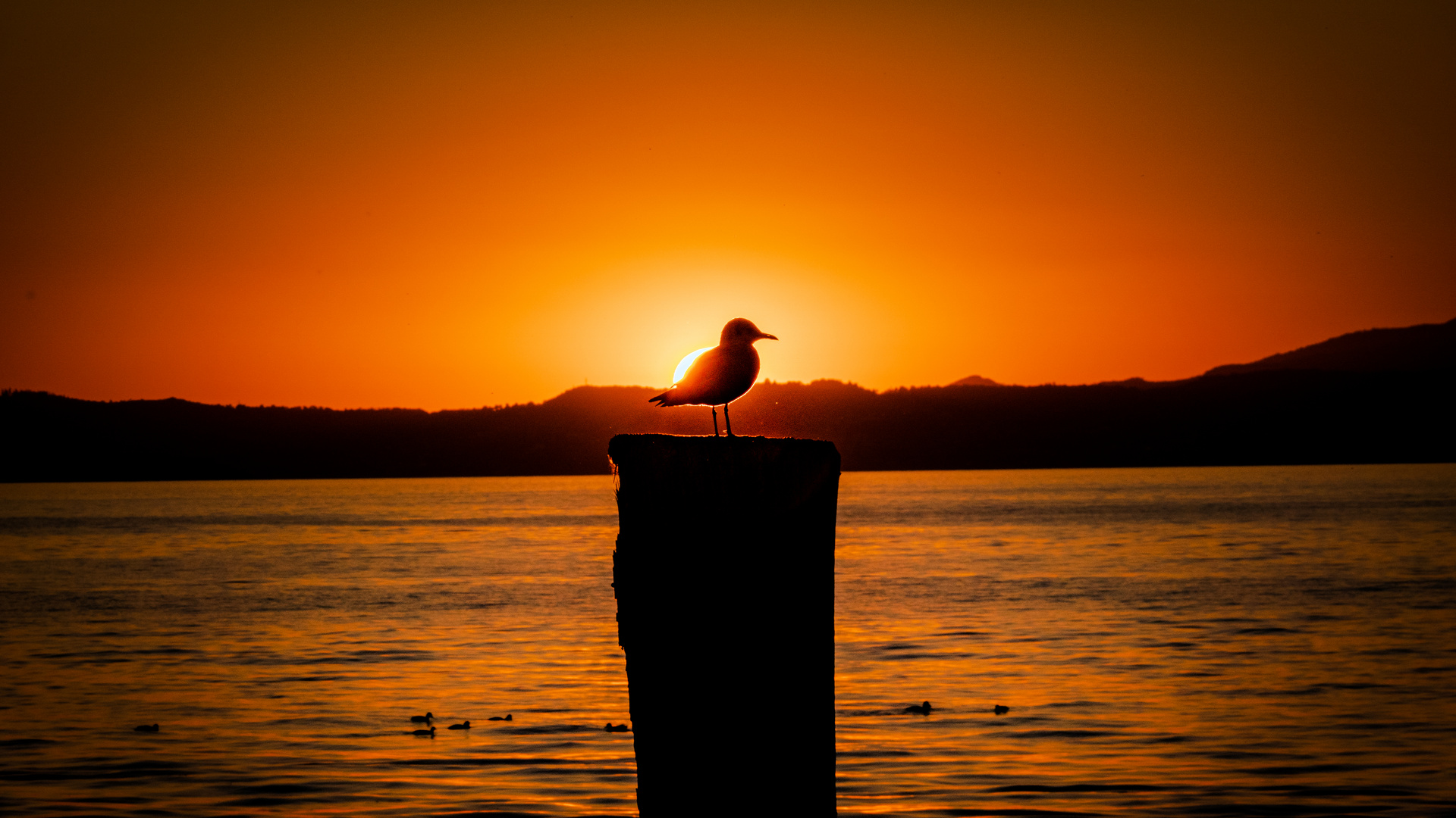 Sonnenuntergang in Lazise