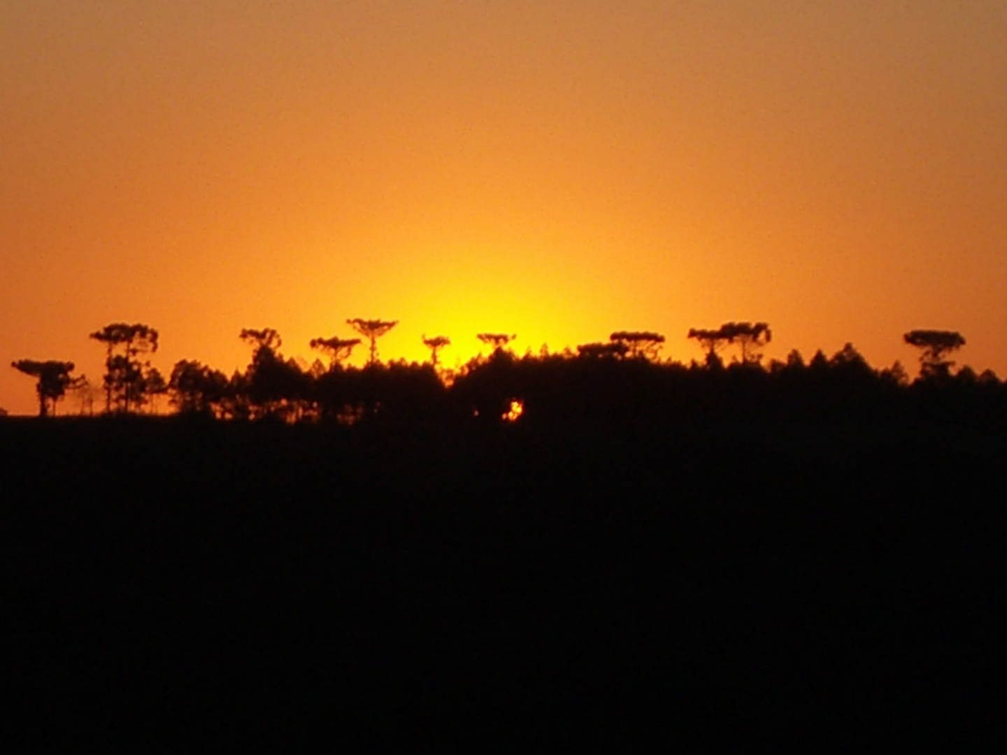 Sonnenuntergang in Leandro N. Alem