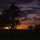 Sonnenuntergang in Lerche