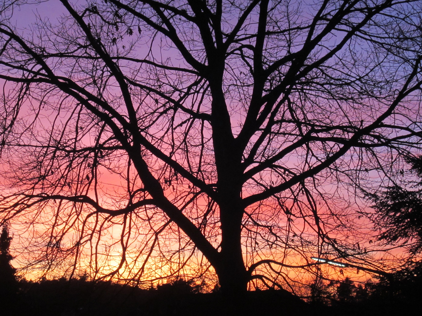 Sonnenuntergang in lila