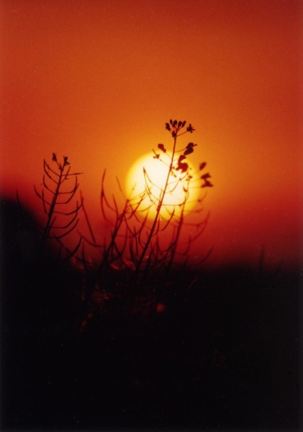 sonnenuntergang in lindenberg