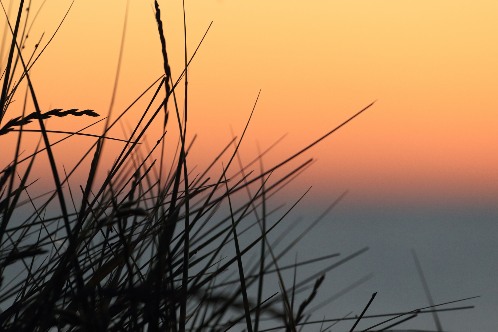 Sonnenuntergang in Lökken / Dänemark