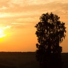 Sonnenuntergang in Lohrhaupten