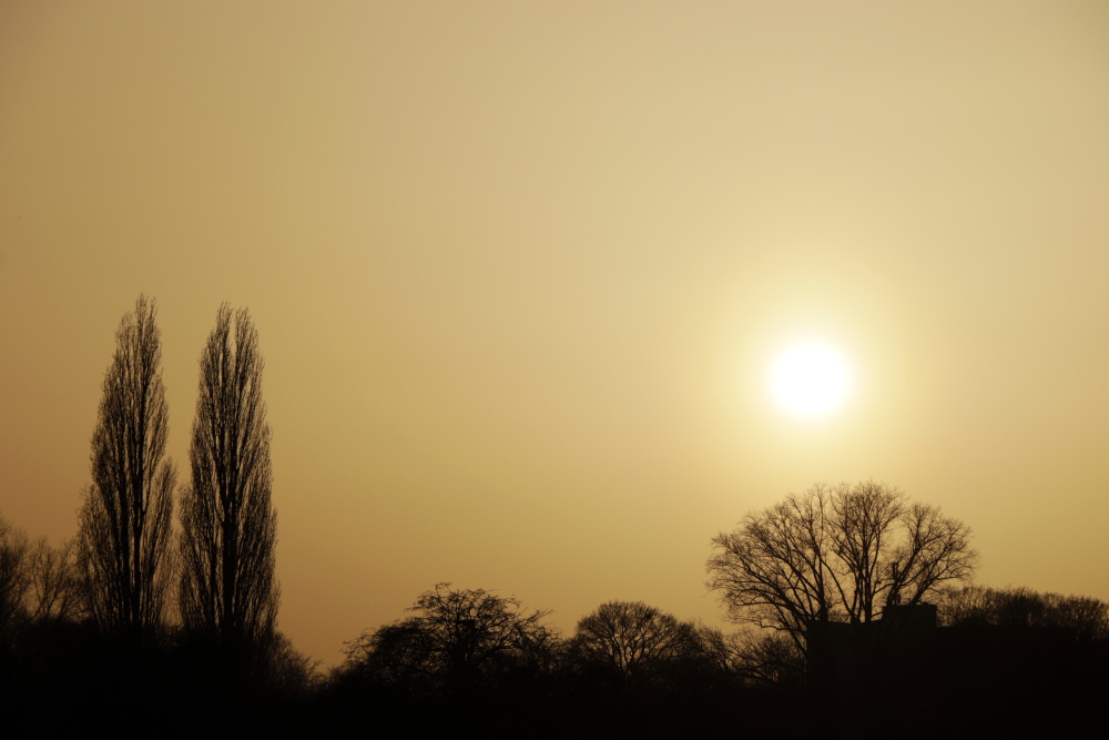 Sonnenuntergang in Lünen - Bild 1