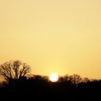 Sonnenuntergang in Lünen - Bild 5