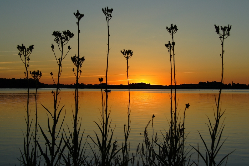 Sonnenuntergang in Maasholm / Ostsee