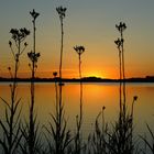 Sonnenuntergang in Maasholm / Ostsee