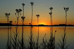 Sonnenuntergang in Maasholm / Ostsee