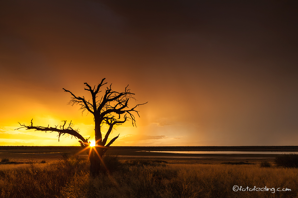 Sonnenuntergang in Mabuasehube