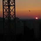 Sonnenuntergang in Magdeburg