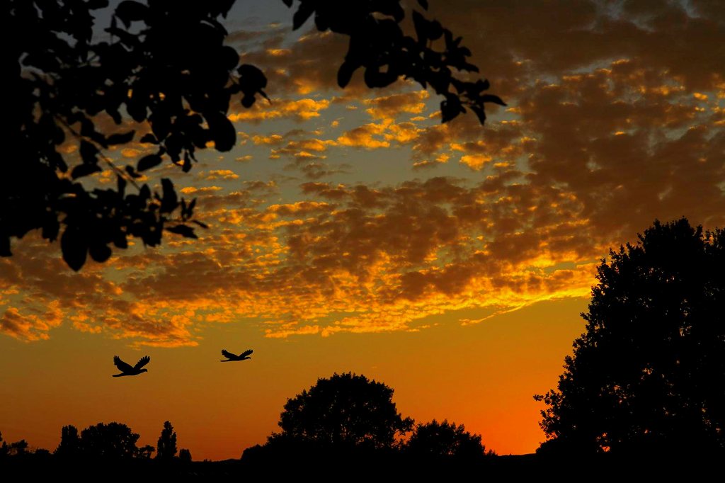 Sonnenuntergang in Mainz-Mombach