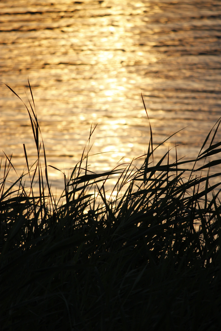 Sonnenuntergang in Malchow.