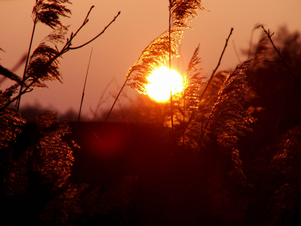 Sonnenuntergang in Mardorf