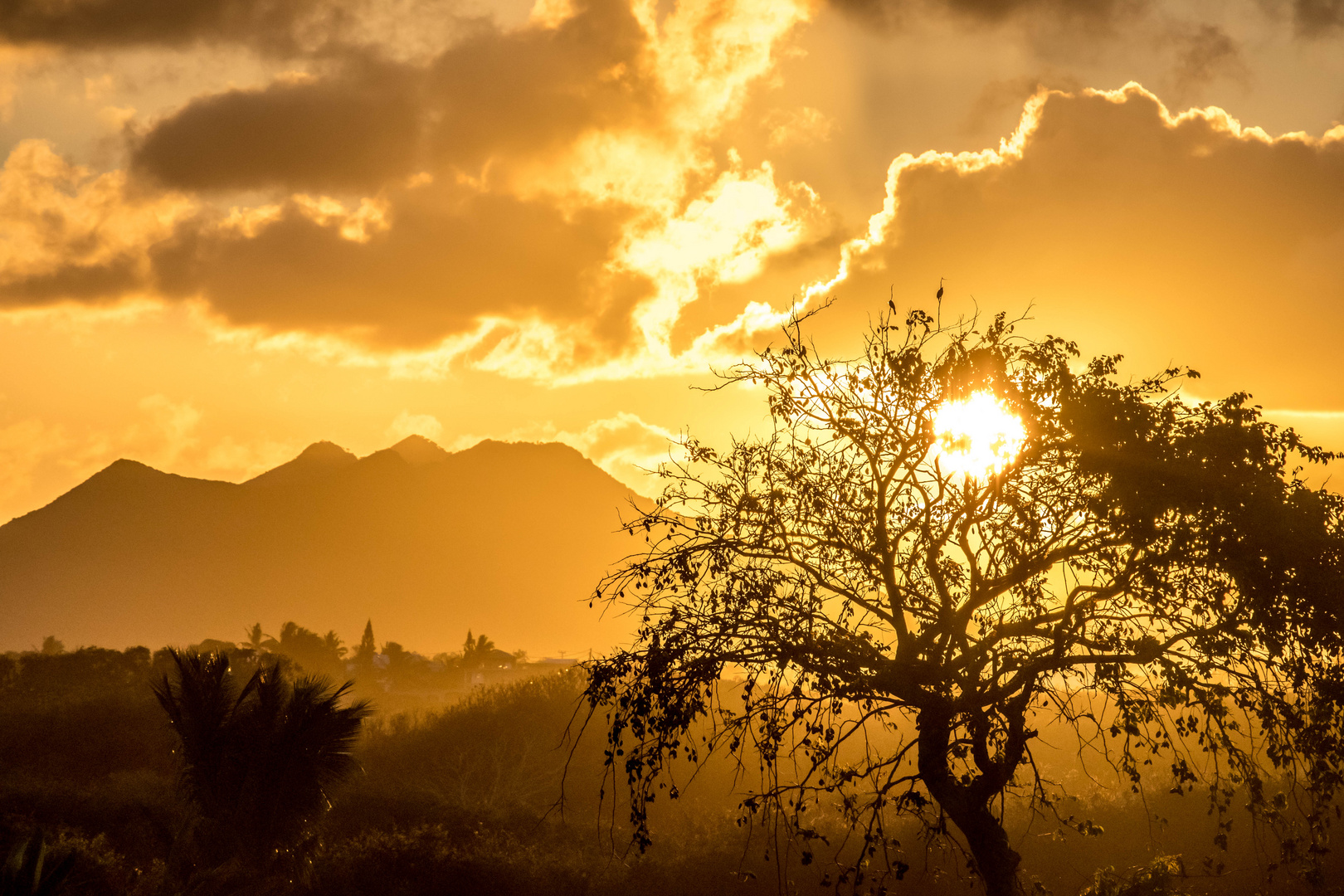 Sonnenuntergang in Mauritius