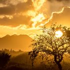 Sonnenuntergang in Mauritius