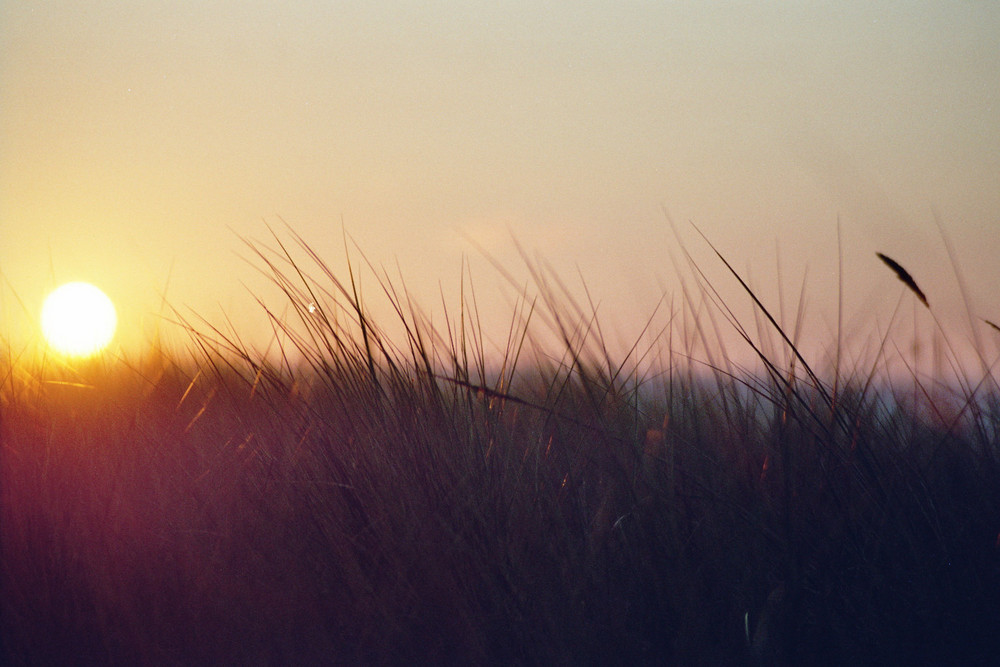 Sonnenuntergang in Meck.- Pomm.