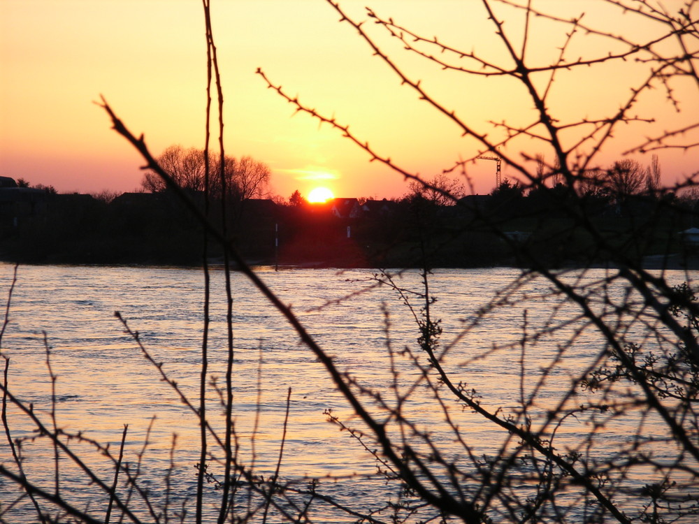 Sonnenuntergang in Meerbusch am Rhein (Kreis Neuss)