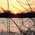 Sonnenuntergang in Meerbusch am Rhein (Kreis Neuss)