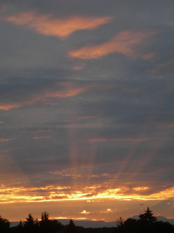 - Sonnenuntergang in meinem Kuhdorf ;) - inklusive Flugzeug ;)