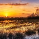 Sonnenuntergang in "meinem" Moor