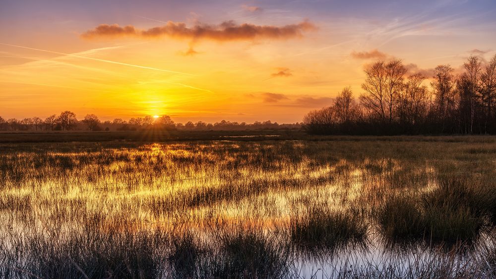 Sonnenuntergang in "meinem" Moor