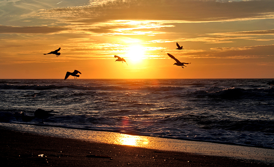 sonnenuntergang in meiner heimat in der freien rebuplik sylt