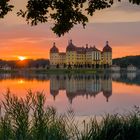 Sonnenuntergang in Moritzburg