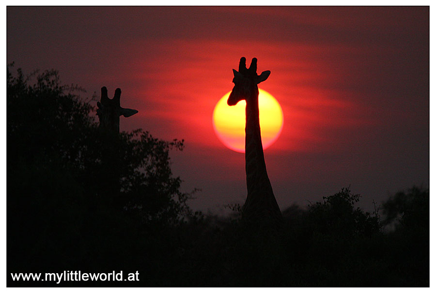 Sonnenuntergang in Namibia