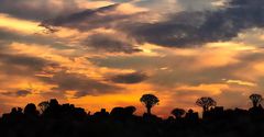 Sonnenuntergang in Namibia