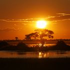 Sonnenuntergang in Namibia