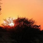 Sonnenuntergang in Namibia