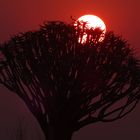 Sonnenuntergang in Namibia