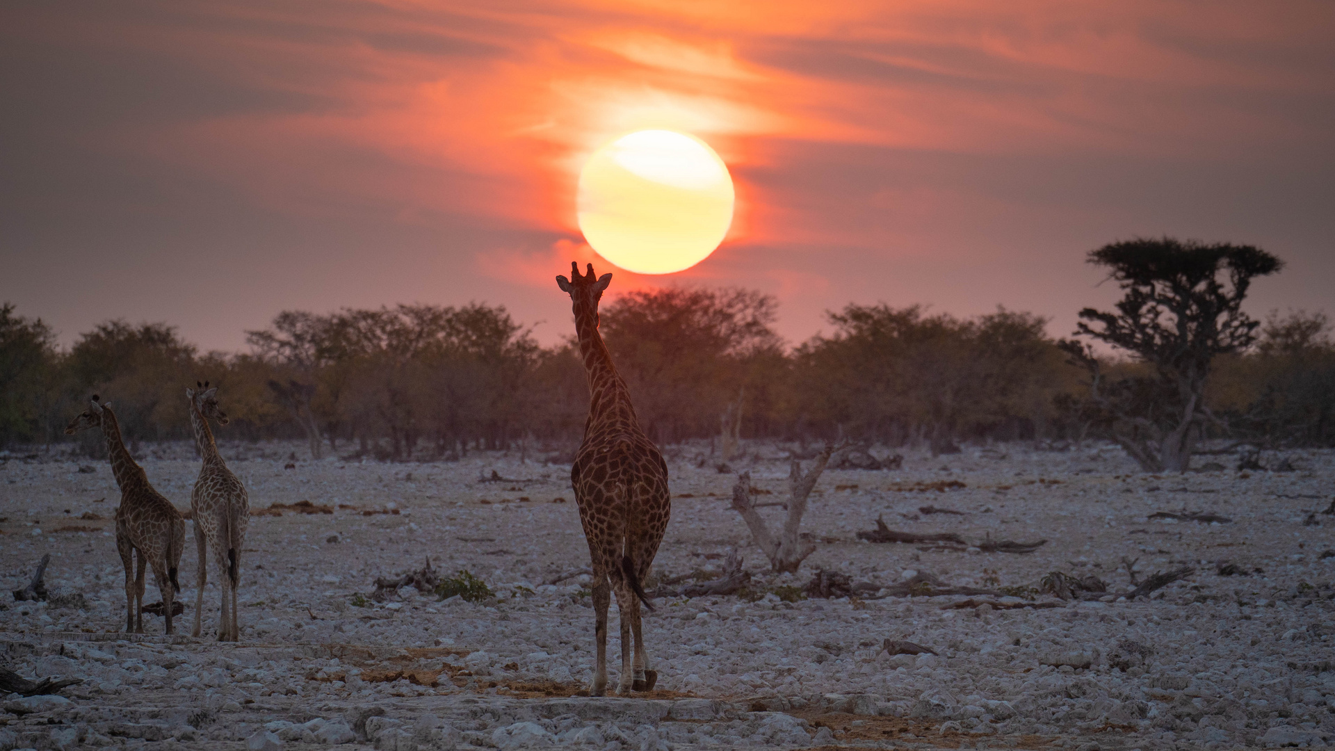 Sonnenuntergang in Namibia