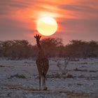 Sonnenuntergang in Namibia