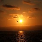 Sonnenuntergang in Namibia