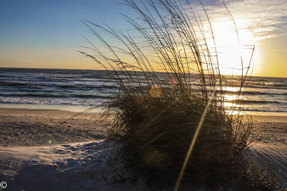 Sonnenuntergang in Naples Beach / Florida