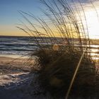 Sonnenuntergang in Naples Beach / Florida