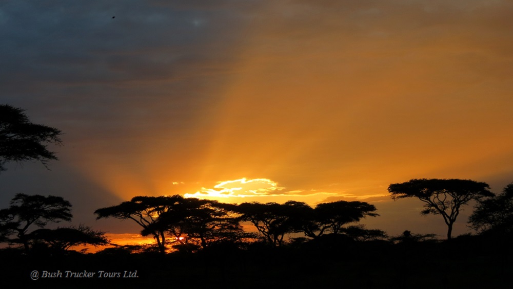 Sonnenuntergang in Ndutu (Serengeti)