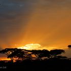 Sonnenuntergang in Ndutu (Serengeti)