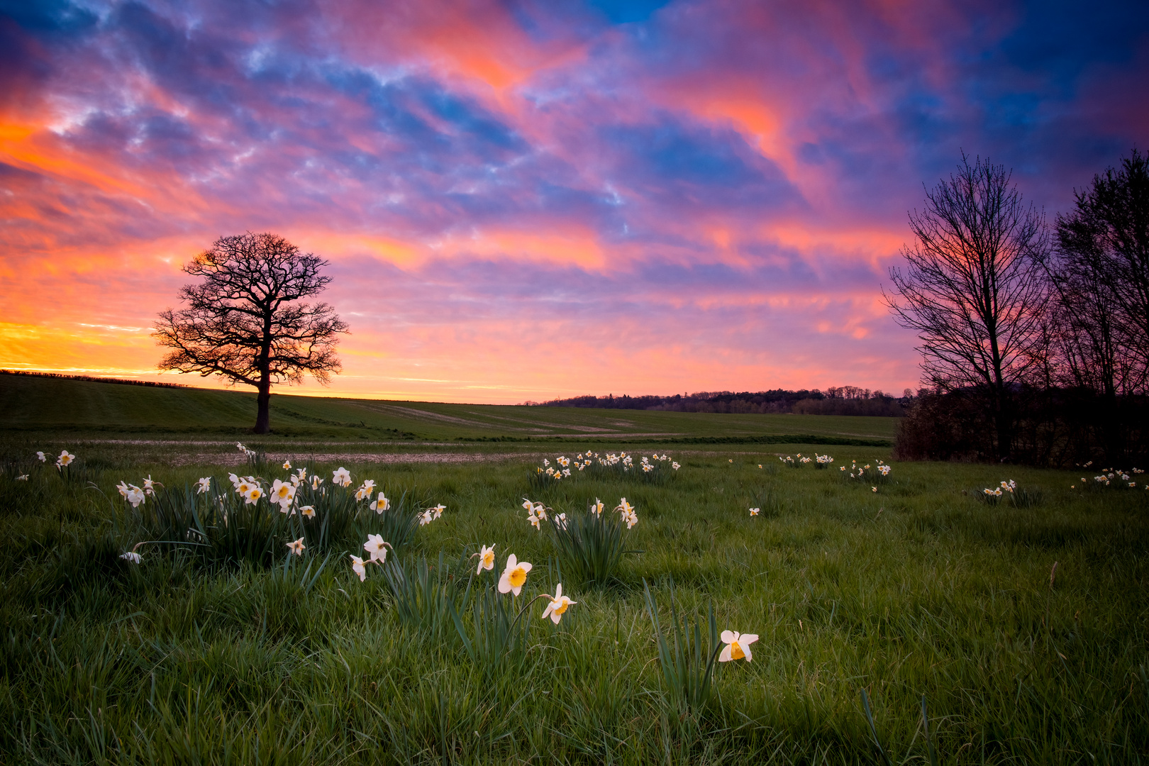 Sonnenuntergang in Niederbardenberg