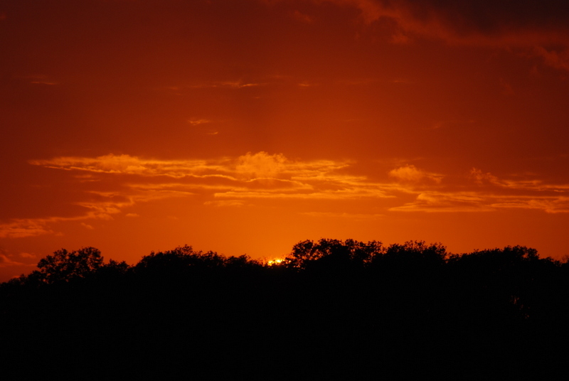 Sonnenuntergang in Niedersachsen (Grethem)