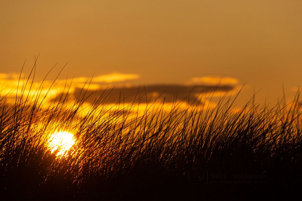 Sonnenuntergang in Noord-Holland (1)